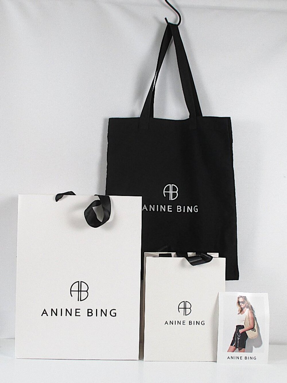 ANINE BING TOTE + BAGS BUNDLE